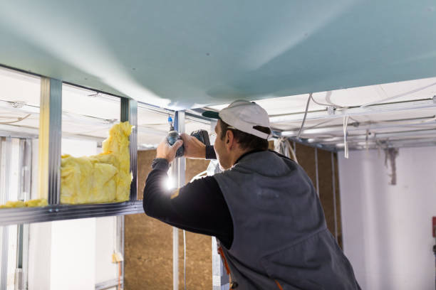 Best Residential Insulation in Grand Saline, TX