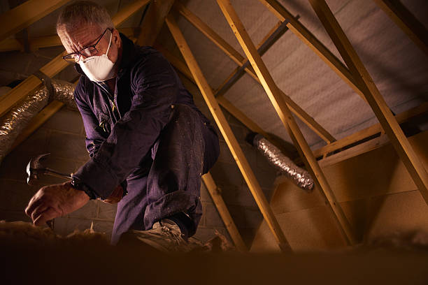 Best Specialty Insulation in Grand Saline, TX